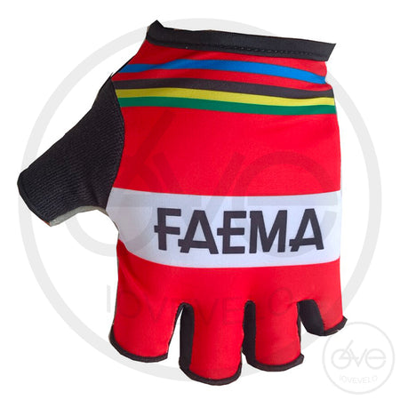 PACK MAILLOT + GANTS FAEMA